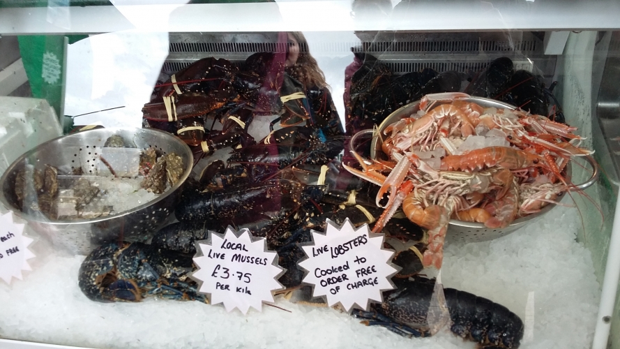 Opening Hours Reviews Location Seafood Restaurants